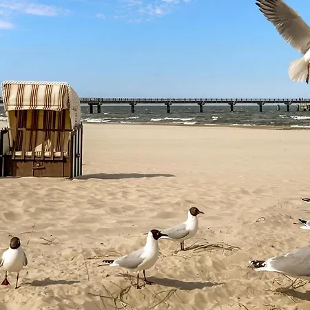 Smuck Hus Hébergement de vacances *